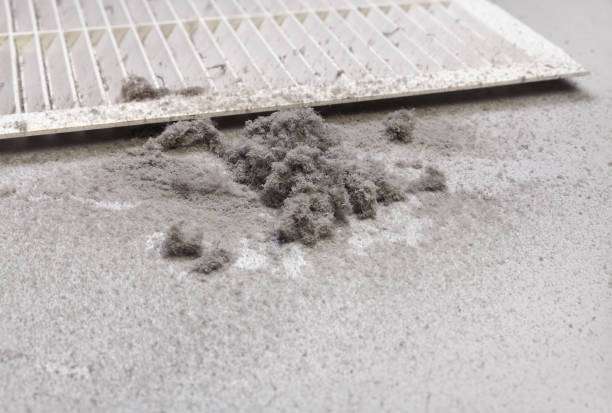 Best Affordable Duct Cleaning Services  in Casa Grande, AZ