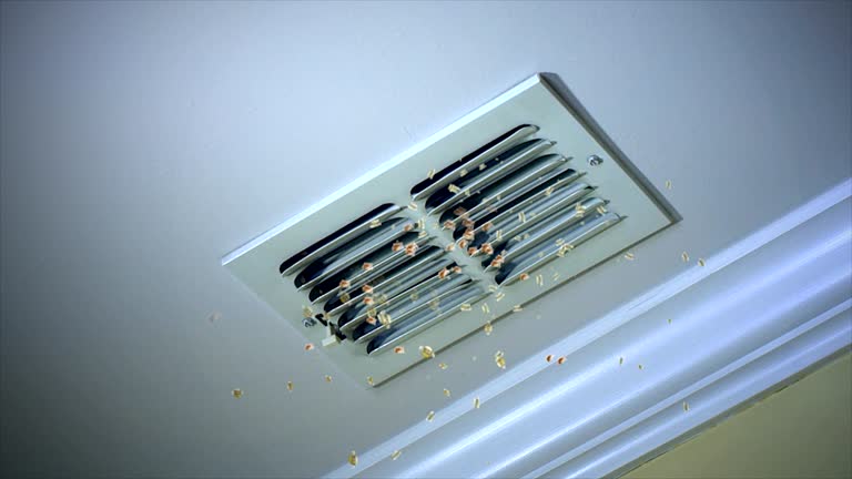 Best Air Duct Cleaning Near Me  in Casa Grande, AZ