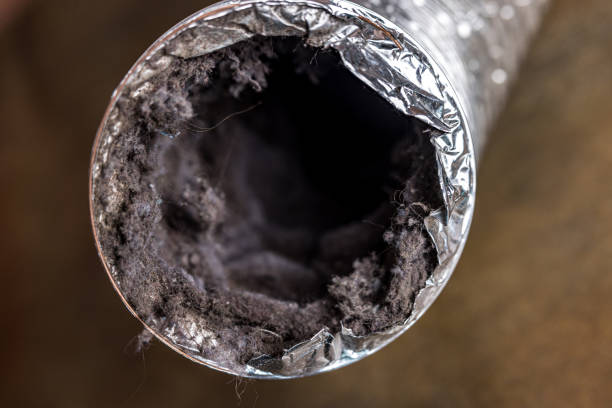 Best Air Duct Cleaning Near Me  in Casa Grande, AZ